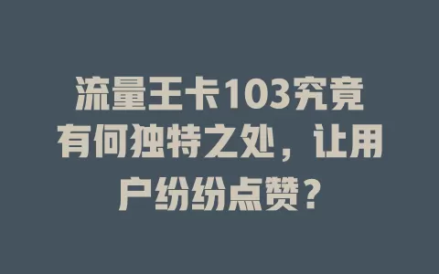 流量王卡103究竟有何独特之处，让用户纷纷点赞？