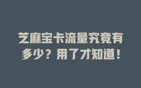 芝麻宝卡流量究竟有多少？用了才知道！