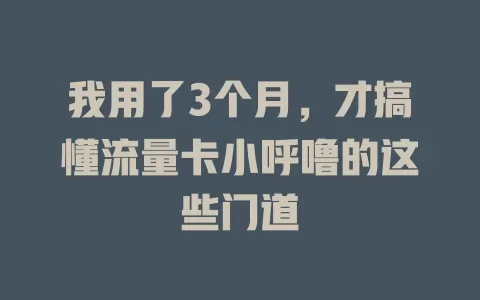 我用了3个月，才搞懂流量卡小呼噜的这些门道
