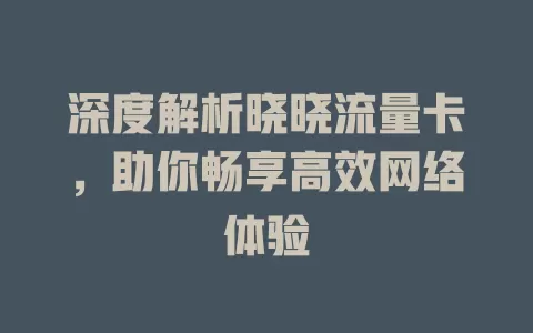 深度解析晓晓流量卡，助你畅享高效网络体验