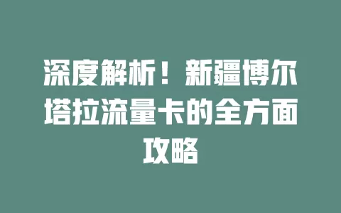 深度解析！新疆博尔塔拉流量卡的全方面攻略