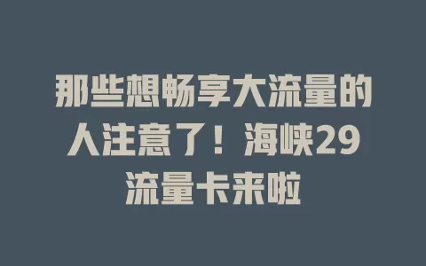 那些想畅享大流量的人注意了！海峡29流量卡来啦