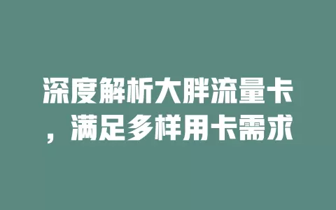 深度解析大胖流量卡，满足多样用卡需求