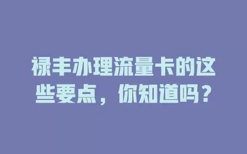 禄丰办理流量卡的这些要点，你知道吗？