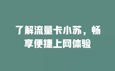 了解流量卡小苏，畅享便捷上网体验