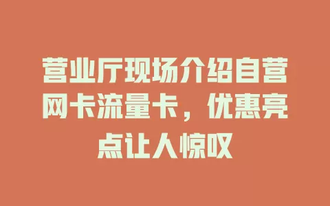 营业厅现场介绍自营网卡流量卡，优惠亮点让人惊叹