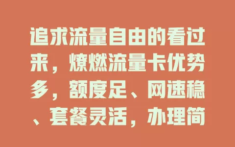 追求流量自由的看过来，燎燃流量卡优势多，额度足、网速稳、套餐灵活，办理简便，告别流量焦虑就选它！