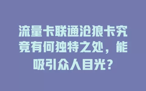 流量卡联通沧狼卡究竟有何独特之处，能吸引众人目光？