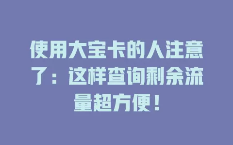 使用大宝卡的人注意了：这样查询剩余流量超方便！