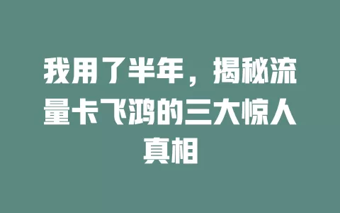 我用了半年，揭秘流量卡飞鸿的三大惊人真相