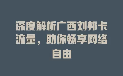 深度解析广西刘邦卡流量，助你畅享网络自由