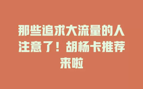 那些追求大流量的人注意了！胡杨卡推荐来啦