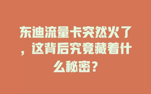 东迪流量卡突然火了，这背后究竟藏着什么秘密？