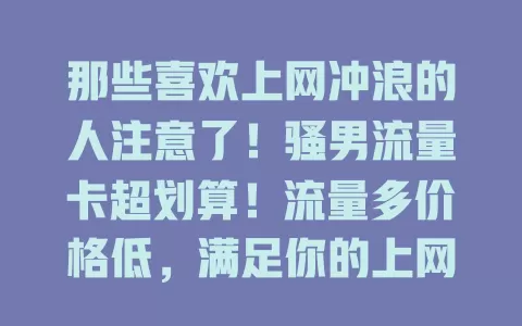 那些喜欢上网冲浪的人注意了！骚男流量卡超划算！流量多价格低，满足你的上网需求！