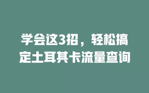 学会这3招，轻松搞定土耳其卡流量查询