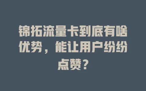 锦拓流量卡到底有啥优势，能让用户纷纷点赞？