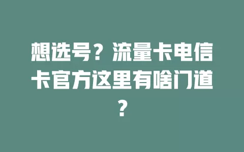 想选号？流量卡电信卡官方这里有啥门道？
