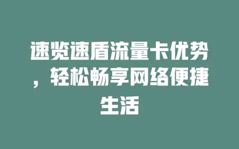 速览速盾流量卡优势，轻松畅享网络便捷生活