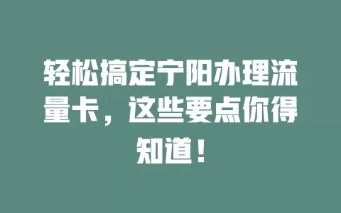 轻松搞定宁阳办理流量卡，这些要点你得知道！