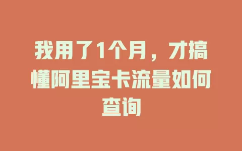 我用了1个月，才搞懂阿里宝卡流量如何查询