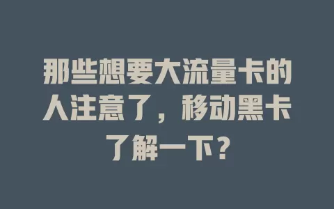那些想要大流量卡的人注意了，移动黑卡了解一下？
