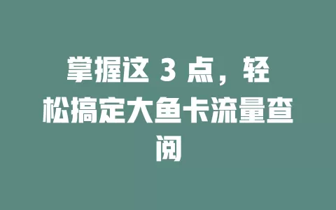 掌握这 3 点，轻松搞定大鱼卡流量查阅