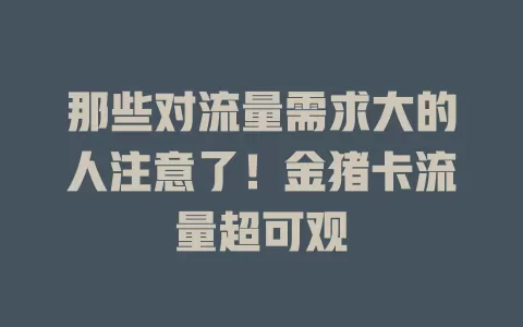 那些对流量需求大的人注意了！金猪卡流量超可观