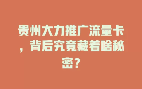 贵州大力推广流量卡，背后究竟藏着啥秘密？