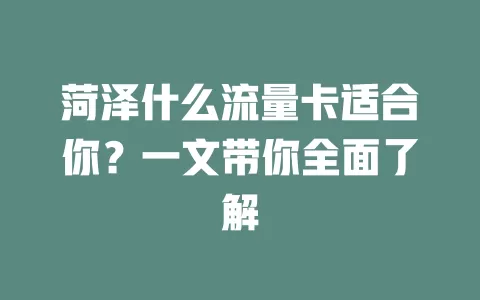 菏泽什么流量卡适合你？一文带你全面了解