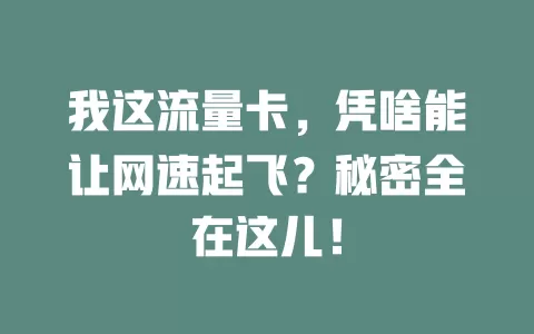 我这流量卡，凭啥能让网速起飞？秘密全在这儿！
