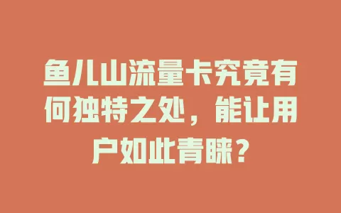 鱼儿山流量卡究竟有何独特之处，能让用户如此青睐？