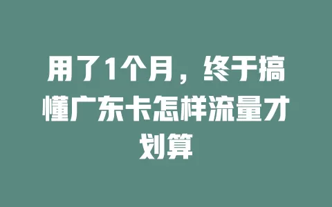 用了1个月，终于搞懂广东卡怎样流量才划算