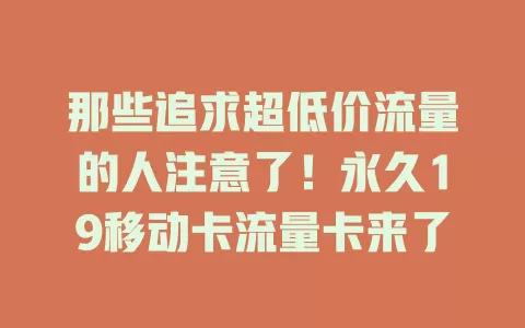 那些追求超低价流量的人注意了！永久19移动卡流量卡来了