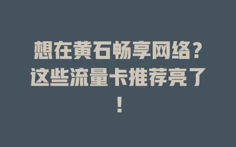 想在黄石畅享网络？这些流量卡推荐亮了！