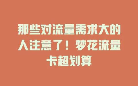 那些对流量需求大的人注意了！梦花流量卡超划算