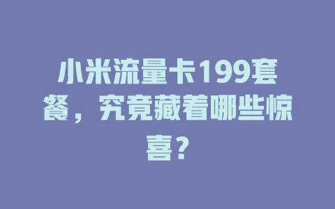 小米流量卡199套餐，究竟藏着哪些惊喜？