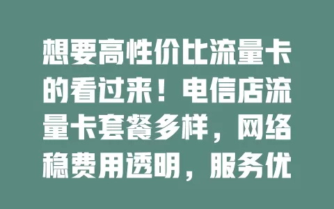 想要高性价比流量卡的看过来！电信店流量卡套餐多样，网络稳费用透明，服务优，能按需选，让你网络畅游无烦恼