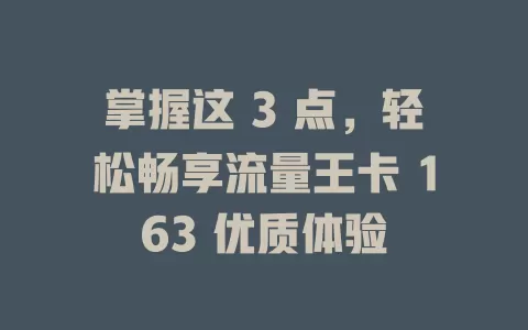 掌握这 3 点，轻松畅享流量王卡 163 优质体验