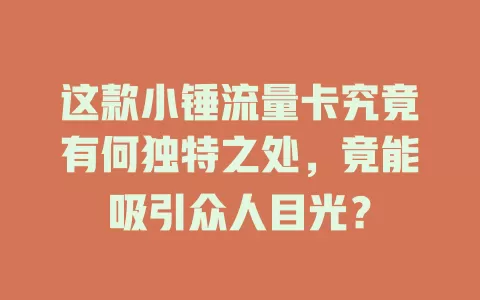 这款小锤流量卡究竟有何独特之处，竟能吸引众人目光？