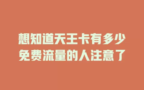 想知道天王卡有多少免费流量的人注意了