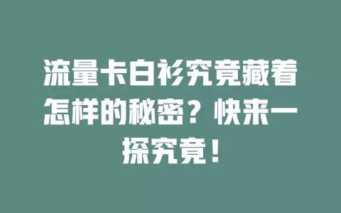 流量卡白衫究竟藏着怎样的秘密？快来一探究竟！
