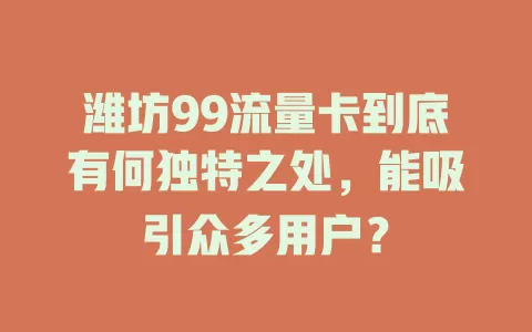 潍坊99流量卡到底有何独特之处，能吸引众多用户？