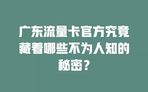 广东流量卡官方究竟藏着哪些不为人知的秘密？