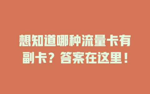想知道哪种流量卡有副卡？答案在这里！