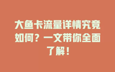大鱼卡流量详情究竟如何？一文带你全面了解！