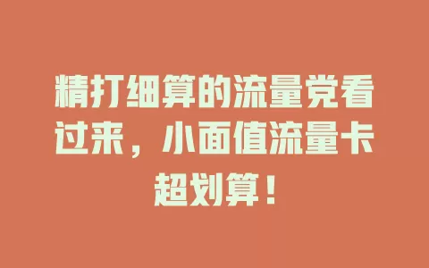 精打细算的流量党看过来，小面值流量卡超划算！