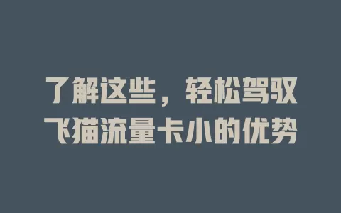 了解这些，轻松驾驭飞猫流量卡小的优势