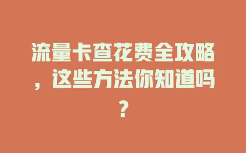 流量卡查花费全攻略，这些方法你知道吗？