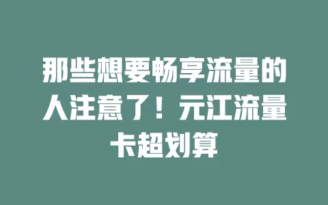 那些想要畅享流量的人注意了！元江流量卡超划算