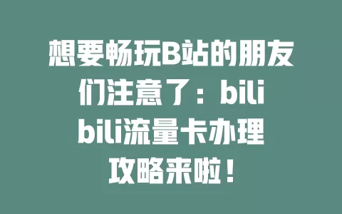 想要畅玩B站的朋友们注意了：bilibili流量卡办理攻略来啦！